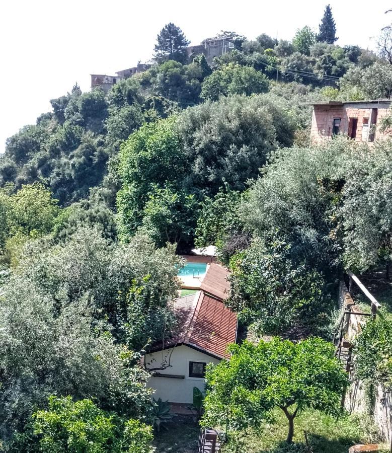 Flat With Panoramic Terrace And Private Pool Mt5X3 Apartment Taormina Exterior photo